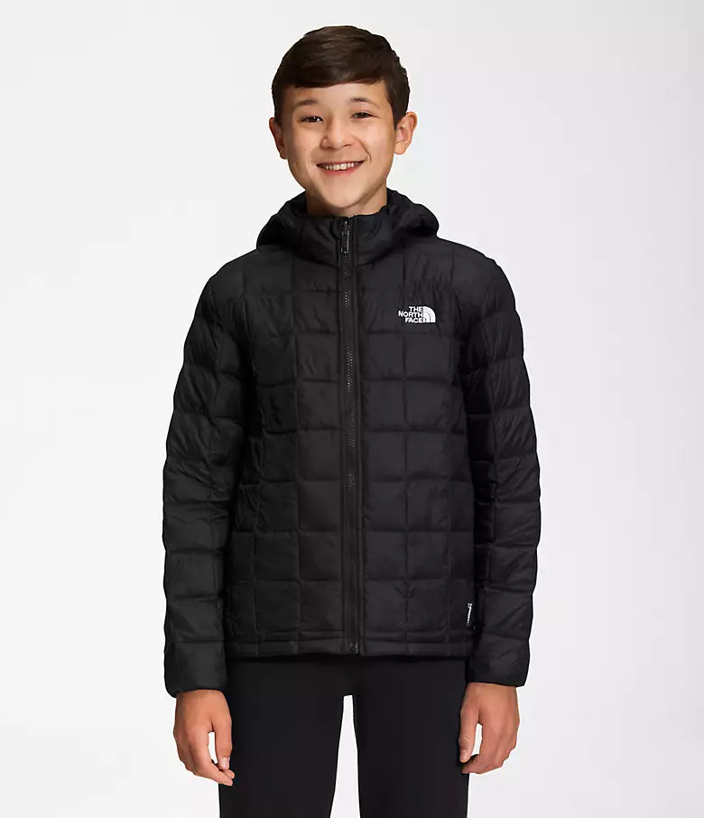 North face jacket with removable hood hotsell