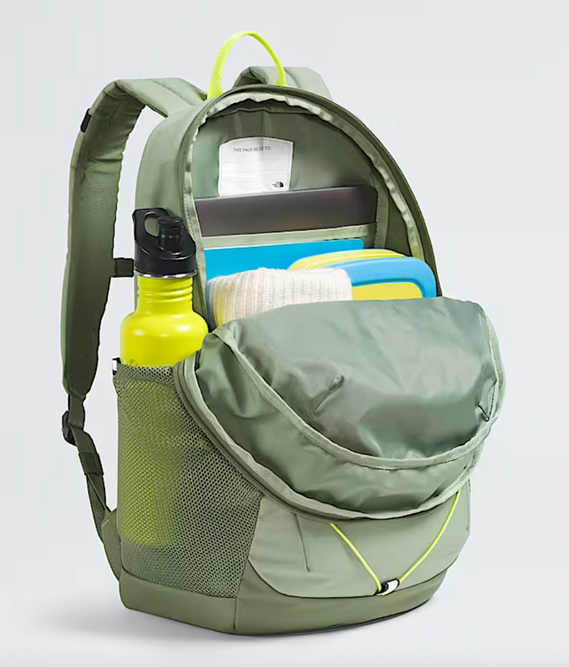 The North Face Slate Moss/Bark Mist Youth Court Jester Backpack