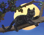 Folkmanis Black Cat Puppet