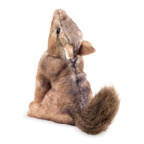Folkmanis Coyote Finger Puppet