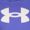 Under Armour Kids Brilliant Violet Glitter Applique Hoodie – Twiggz